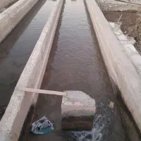 اجاره پرورش ماهی قزل الا بودلا|اجارهٔ دفتر صنعتی، کشاورزی، تجاری|چنگ الماسی, |دیوار