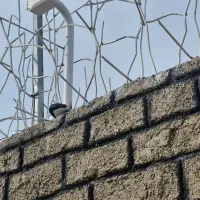 پنل خورشیدی ،دوربین،دزدگیر|دوربین مداربسته|فولادشهر, فولادشهر|دیوار