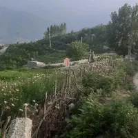زمین مسکونی ۳۰۰ متری با پروانه و انشعابات سرخ کلا|فروش زمین و ملک کلنگی|تهران, حکیمیه|دیوار