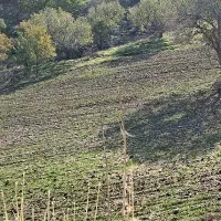 زمین-بدون-کاربری-آبدانان