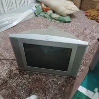 تیوی ساده الجی