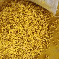 زردچوبه قلم نظام ابادی لوکس دابل پالایش|خوردنی و آشامیدنی|شیراز, معالی‌آباد|دیوار