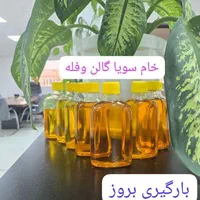 روغن خام سویا خام آفتابگردان|عمده‌فروشی|دشتابی, |دیوار