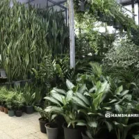 فروش غرفه بازار گل شهید محلاتی