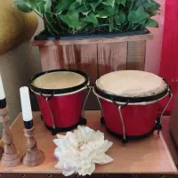 تومبا و بنگو بینگو با پایه های جداگانه