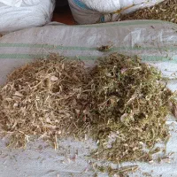 فروشه کاه لوبیا و نخود به قیمت|عمدهفروشی|خرمدره, |دیوار