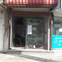 اجاره مغازه خوش‌موقعیت، مناسب کسب‌وکار