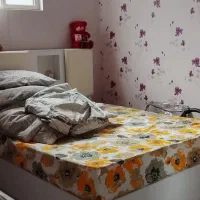 منزل اجاره ای 85|اجارهٔ آپارتمان|شیراز, کوشک میدان|دیوار