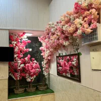 اجرااذران‌ترمووال اینه شکوفه گرین وال ترموودتاپشیت