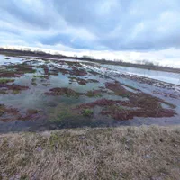 زمین یک هکتارشالیزارسنتی براصلی خیابان متری۳۵۰هزار|فروش دفتر صنعتی، کشاورزی، تجاری|لاهیجان, گلستان|دیوار