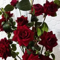 گل رز|گل مصنوعی|محمدشهر, محمدشهر|دیوار