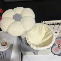 درخت گربه|لوازم جانبی حیوانات|رشت, کاکتوس|دیوار