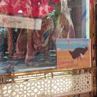 استخدام قصاب