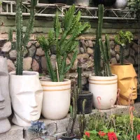 استخدام نیرو خانم با فن بیان قوی برای گلفروشی