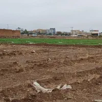 زمین قم کهک ۴۴۳ متر داخل طرح هادی(زمین شهری)