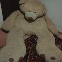 خرس  بزرگ|اسباب‌‌بازی|شیراز, عادل آباد|دیوار