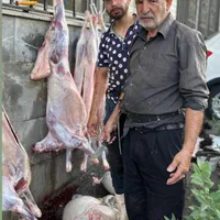ذبح وقصاب وسلاخ فروش گاو وگوساله وگوسفندشبانه روزی|خدمات پذیرایی، مراسم|تهران, امام زاده حسن|دیوار