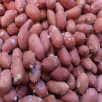 بادام زمینی برشته درجه یک