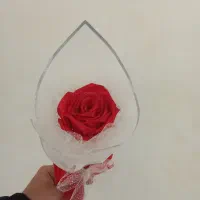 گل جاودان|گل مصنوعی|اراک, |دیوار