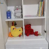 تخت و کمد کودک و نوجوان|تخت و سرویس خواب|بجنورد, |دیوار