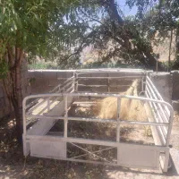 تاق نیسان