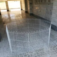 پارک سگ و گربه