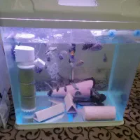 آکواریم 60 سانتی