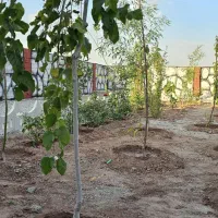 باغچه-اقساط-ویژه-معاوضه-با-ماشین