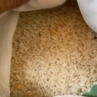 برنج تایلندی|خوردنی و آشامیدنی|مریوان, |دیوار