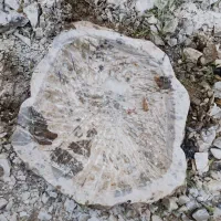 کاسه روشویی سنگی.رودخانه ای