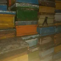 کندو زنبور عسل ۵۰۰ عددو۳۰۰ طبق|لوازم جانبی حیوانات|لاران, |دیوار