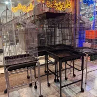 قفس کاسکو قفس/