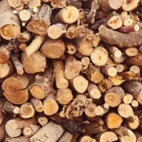 فروش هیزم درخت نارنج، پرتقال، انجیر و توت