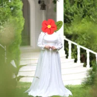 لباس مجلسی فرمالیته|لباس|شیراز, میانرود|دیوار