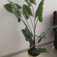 گلدان مصنوعی|گل مصنوعی|تهران, خواجه نظام الملک|دیوار