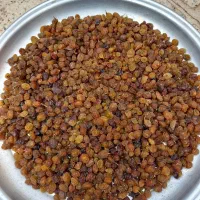 کشمش درگز|خوردنی و آشامیدنی|مشهد, توس فردوسی|دیوار