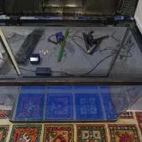 آکواریوم کامل|ماهی|سبزوار, پاسداران|دیوار