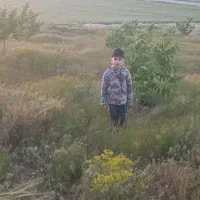 فروش باغ ثمربده