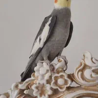 فروش عروس هلندی
