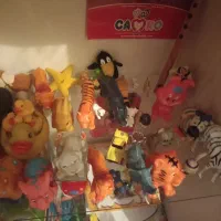 حیوانات