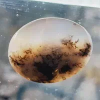 سنگ شجر طبیعی باکیفیت شفاف