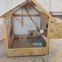 قفس کلبه آیی بزرگ