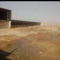 فروش یامعاوضه دامداری۲۵۰۰متری