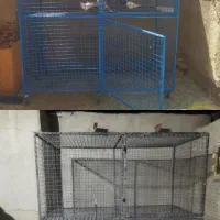 ساخت دام‌طور کبوتر