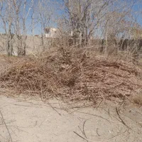 مقداری چوب|خدمات پیشه و مهارت|فلاورجان, |دیوار