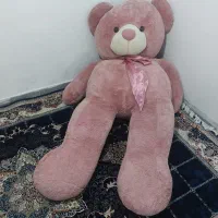 خرس بزرگ پولیش خارجی