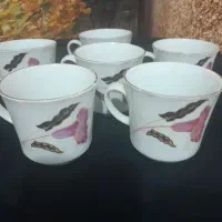 فنجان ونعلبکی|ظروف سرو و پذیرایی|رشت, جانبازان|دیوار