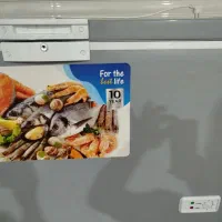 فروش صندوقی مارک سینور|یخچال و فریزر|برازجان, |دیوار