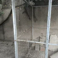 قفس بزرگ آهنی حیوان و پرنده|لوازم جانبی حیوانات|گرگان, |دیوار