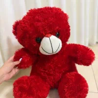عروسک خرس قرمز